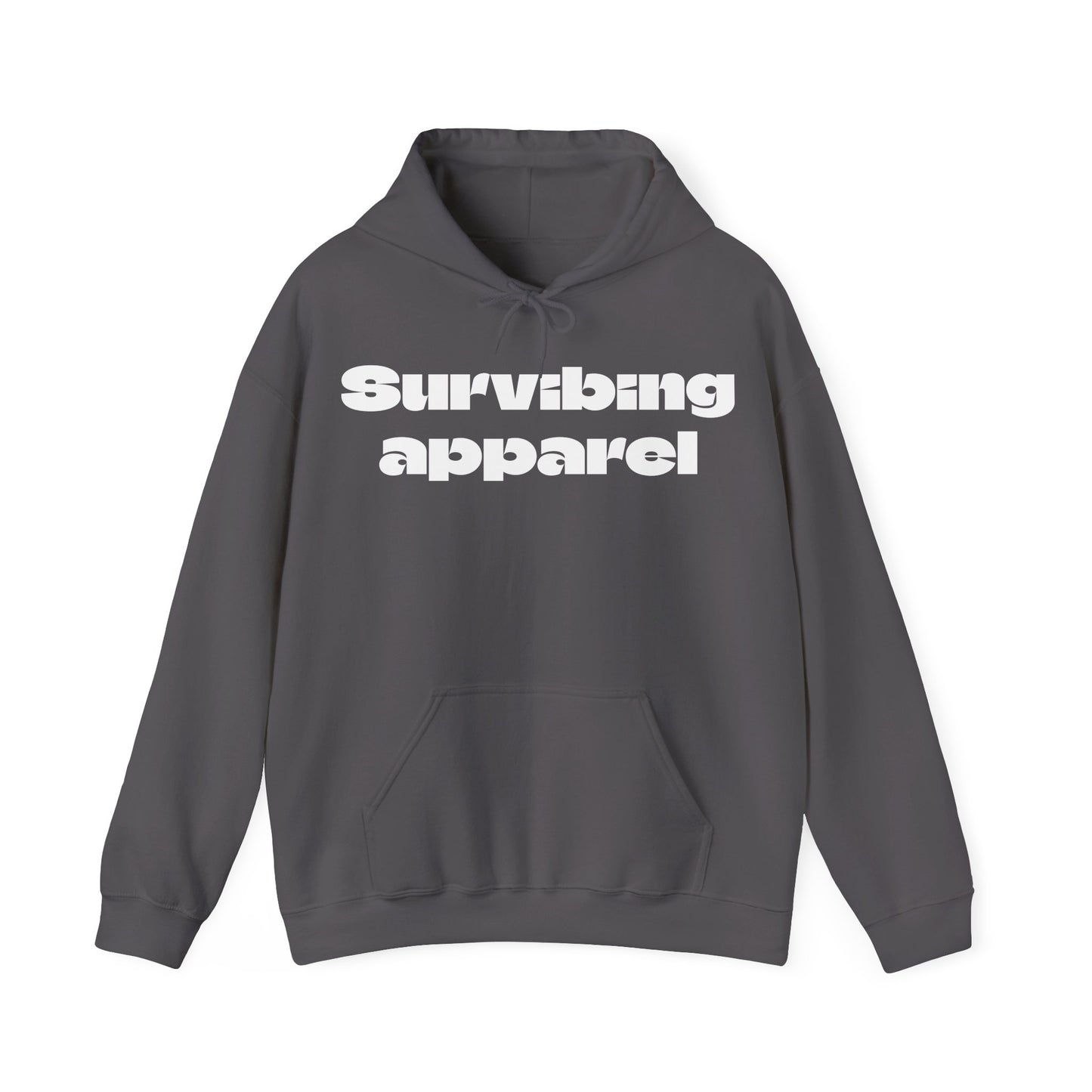 Surviving Compass Unisex Heavy Blend Hooded Sweatshirt - Cozy Spiritual Apparel