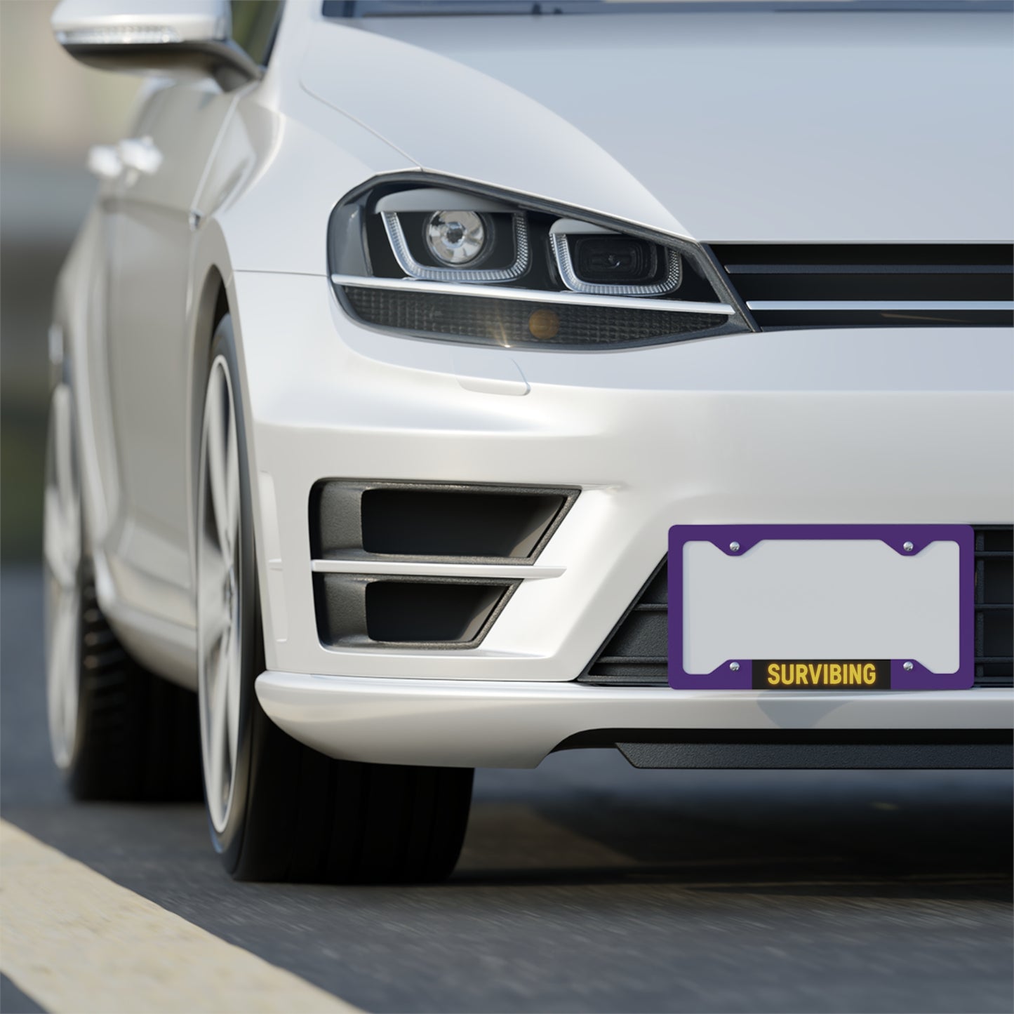 Survibing Metal License Plate Frame