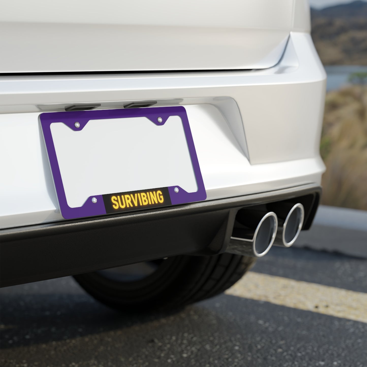 Survibing Metal License Plate Frame